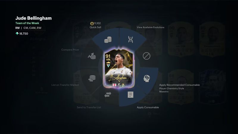 Holographic Items FC 27 Ultimate Team